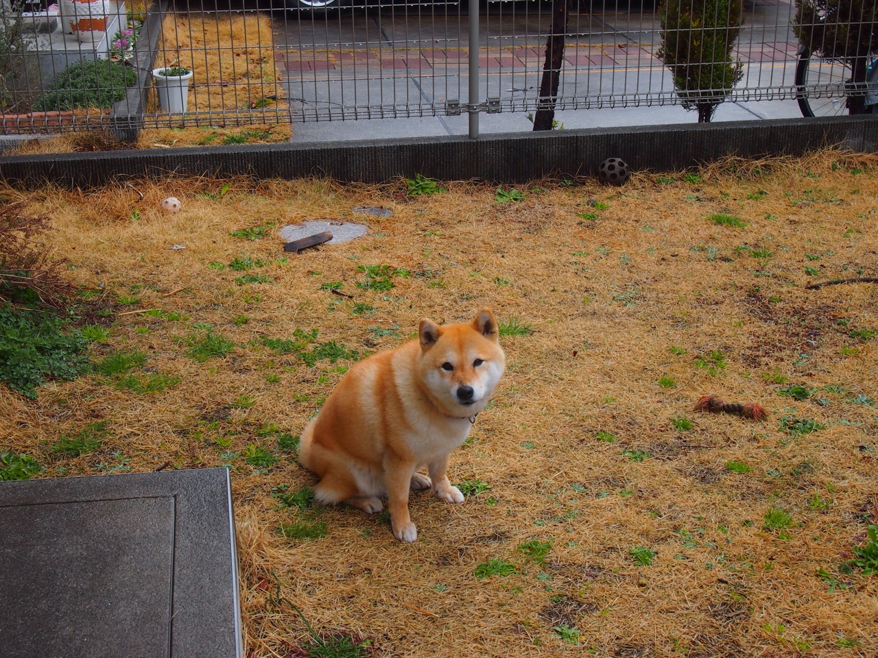 _穿越城市古巷:跑步探索历史文化_,跑步小镇