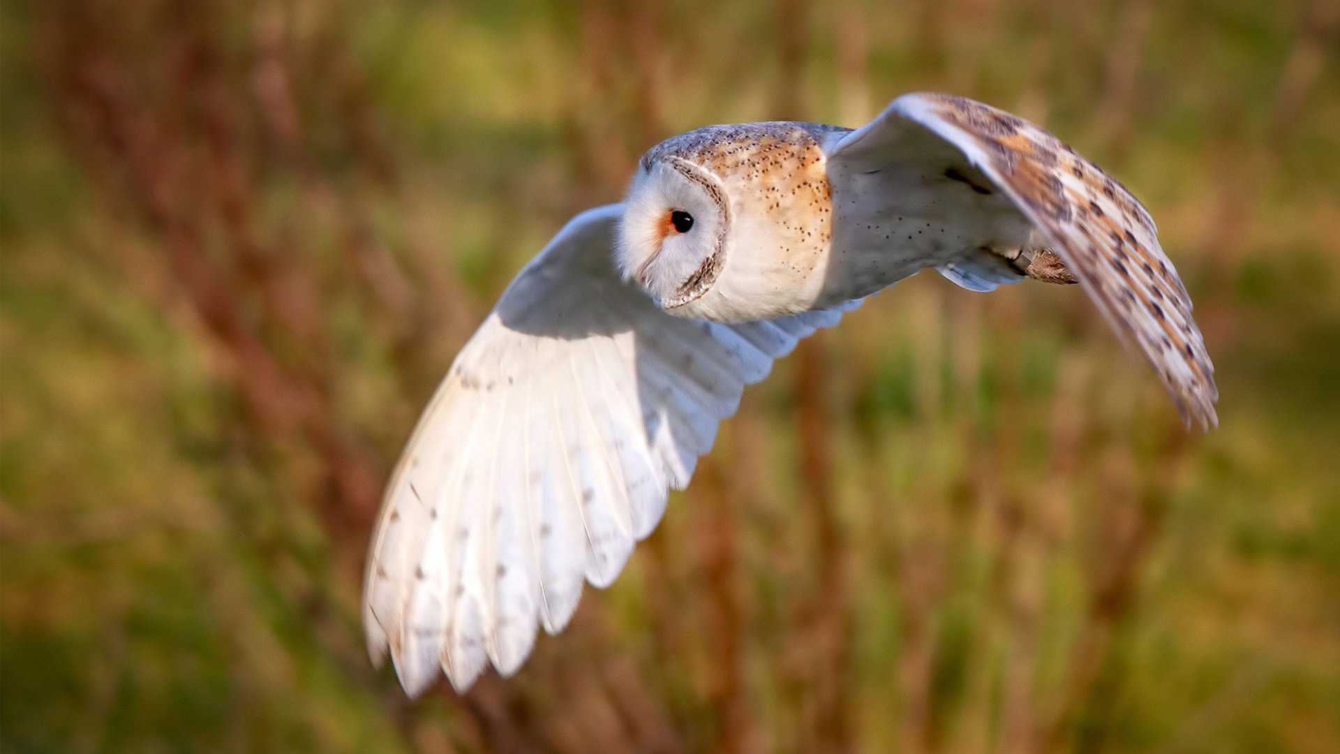 《青少年电竞素养教育：除了比赛培养未来人才》，青少年电竞职业联赛
