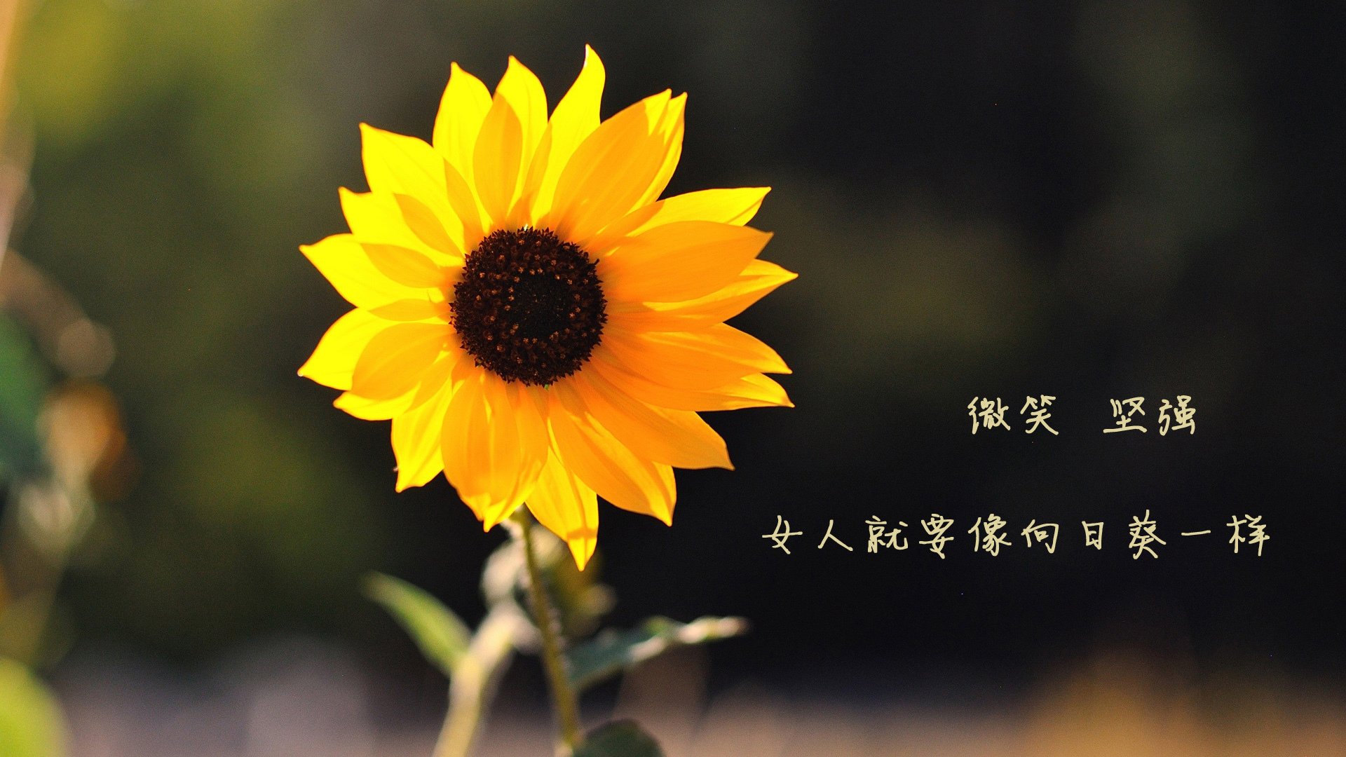 国际交流推动：跨国比赛增进友谊，跨越国际的友谊例子